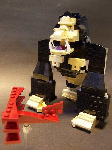 [3064728698_e3a8561d76.jpg]