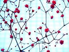 [3218072348_1acd35b324_m.jpg]