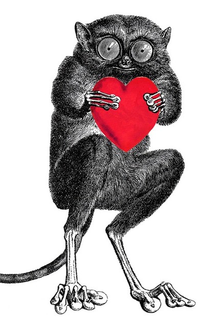 [il_430xN.53559922.jpg]