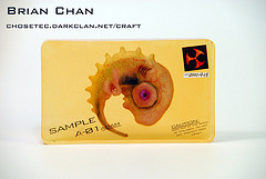 [3216876775_c42d8a4751_m.jpg]