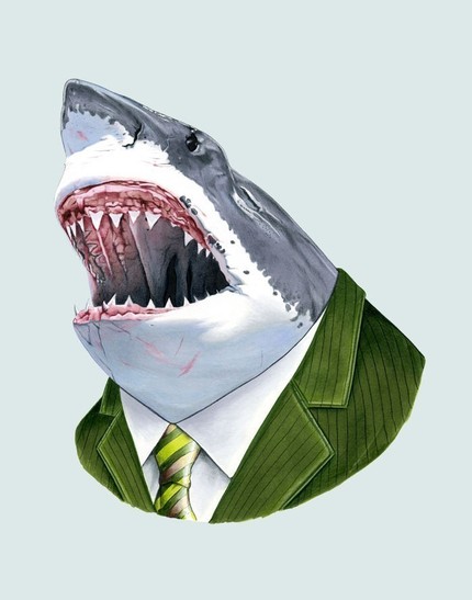 [shark.jpg]