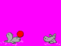 [Hippo+bola+vermelha.gif]