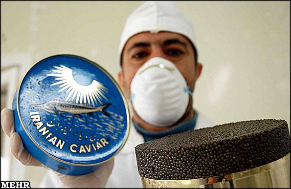 [Caviar-17.jpg]