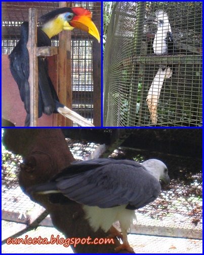 [zoo-06-birds2.jpg]