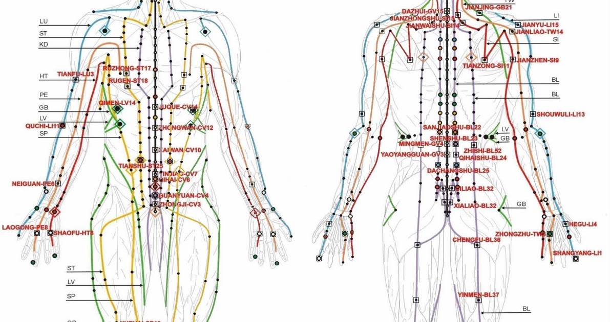 меридианы фолля схема. меридианы человека схема. энергетические меридианы человека схема и направления. энергетические меридианы человека китайская медицина. энергетические точки на теле человека.