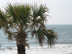 Pavilion Palms