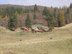 Elk Highland Ranch