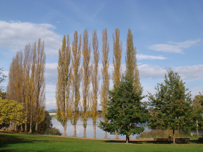 Die Zeit des Weltbildes