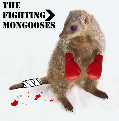 The Fighting Mongooses