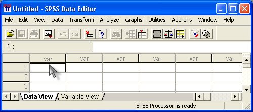 Окна редактора данных в SPSS. Data Editor. Paradox data Editor программа. Variable view). Data edit