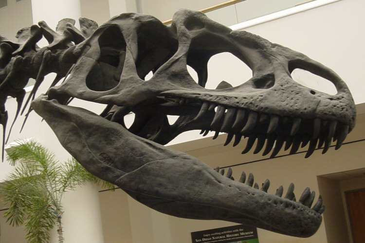 [dinosaur.jpg]
