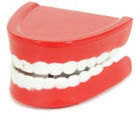 [teeth.jpg]