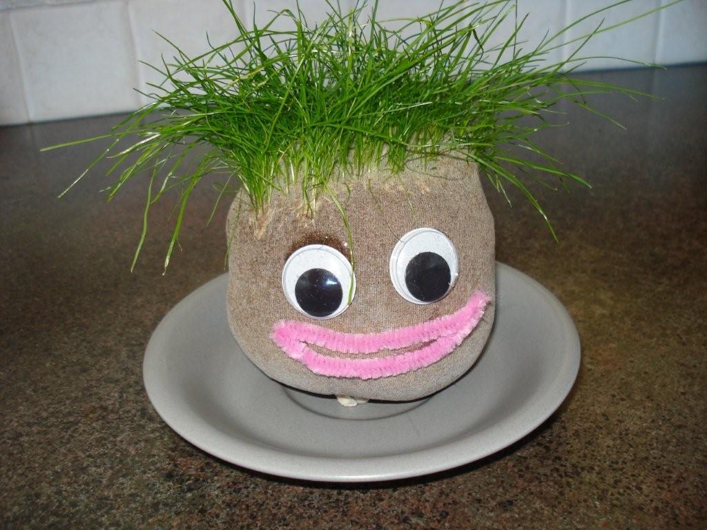 [grasshead.jpg]
