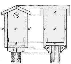 [bluebirdhouseplan.jpg]