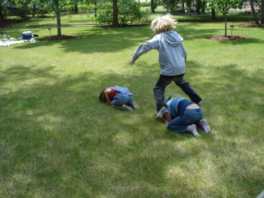 [leapfrog.jpg]