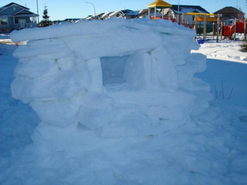[snowfort.jpg]