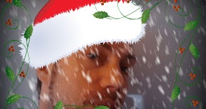 Jucheer Testet Mit Lindt Cool In Den Advent Starten Gewinnspiel