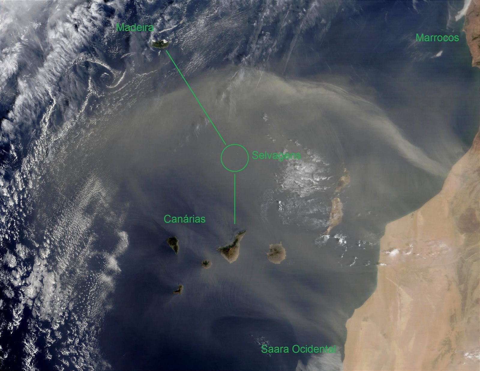 [Madeira_Canarias+-A.jpg]