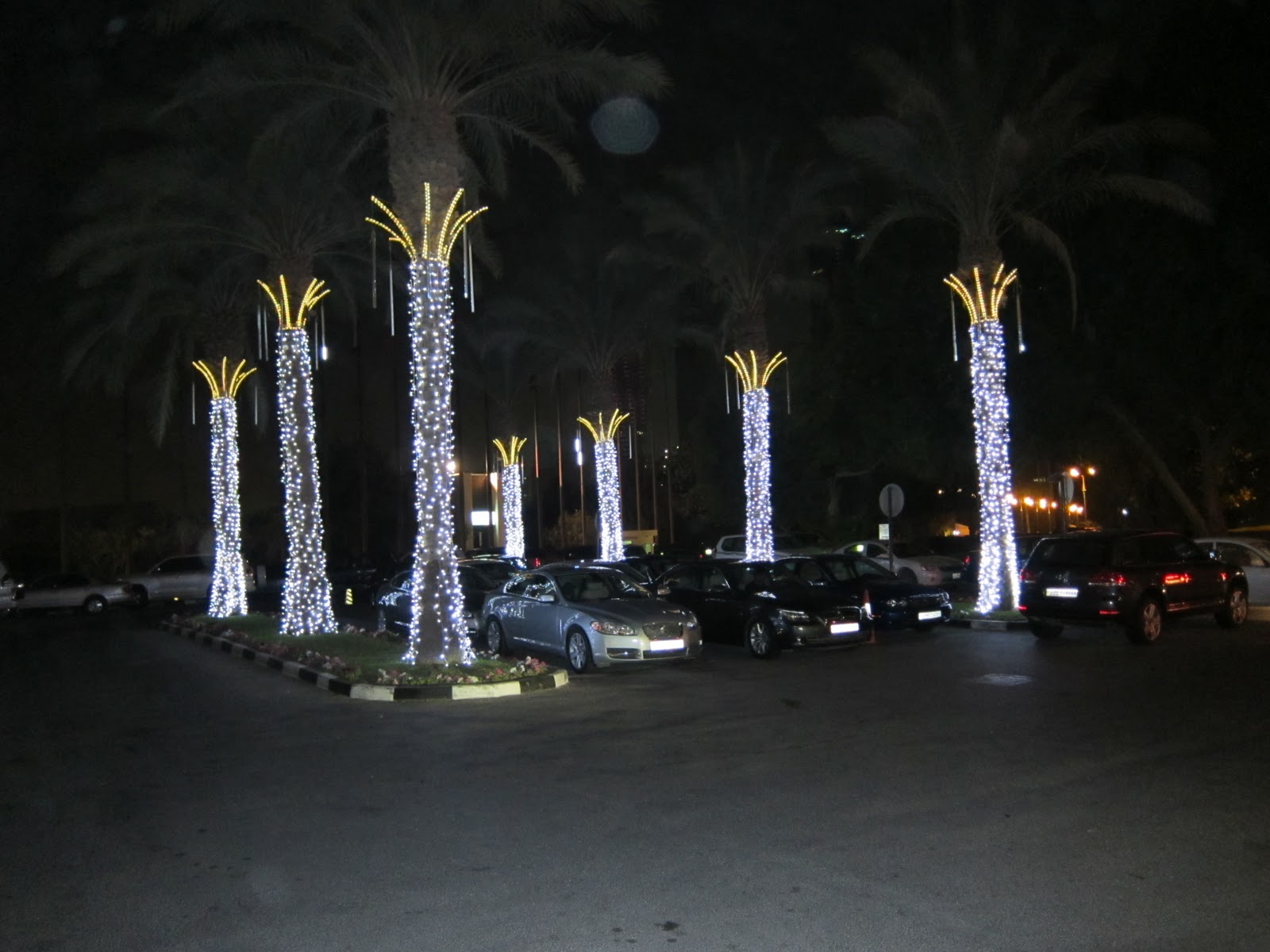 Where's Walden? Doha & Other Christmas Ramblings