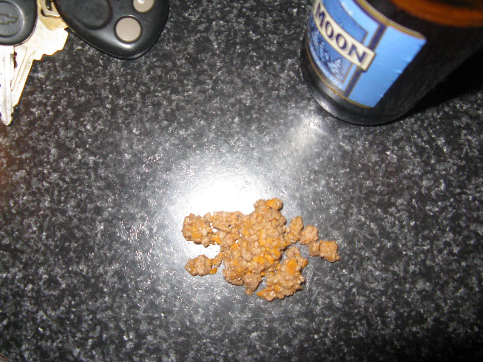 shit my cat throws up