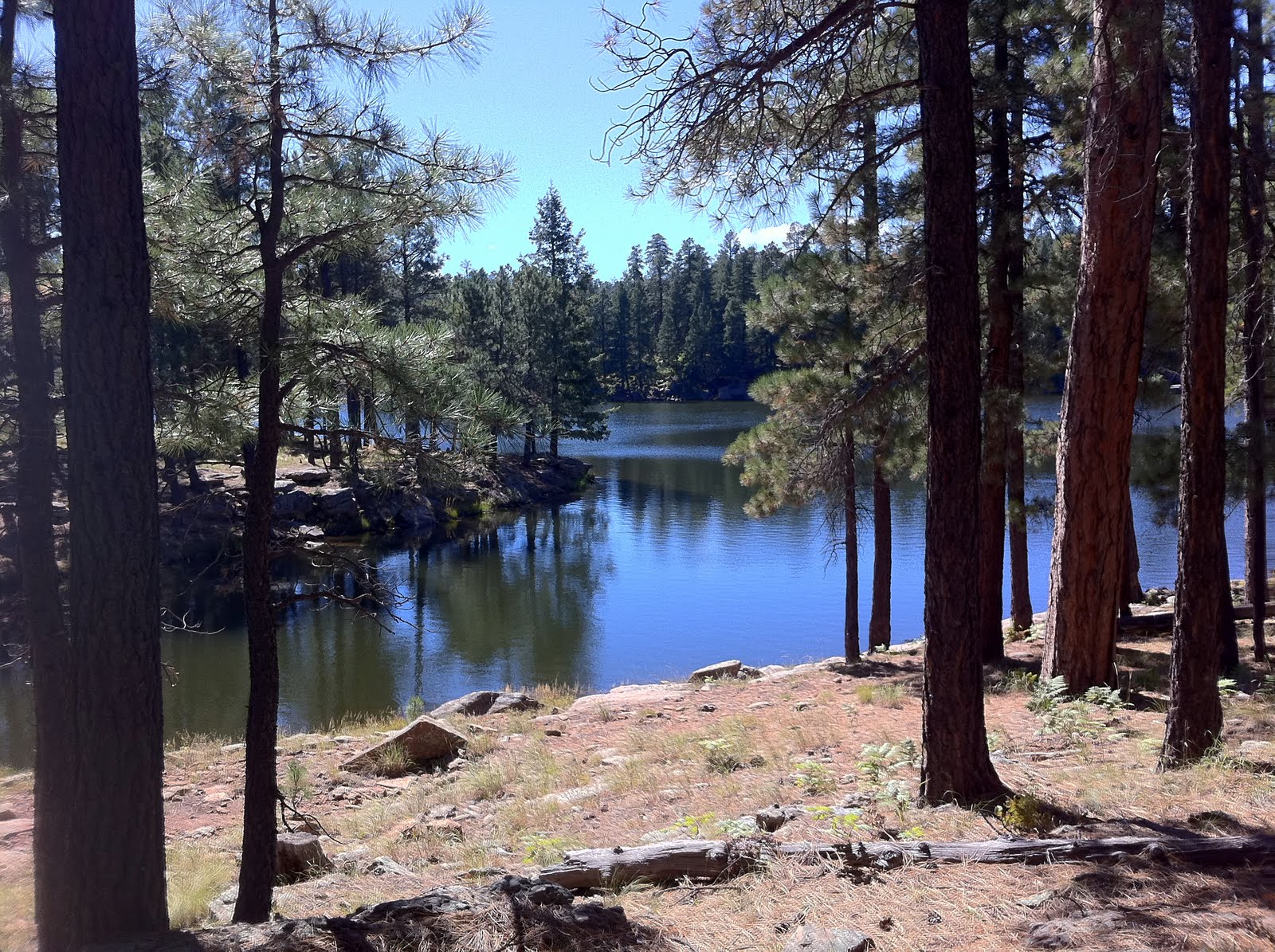 Payson Ponderings Woods Canyon Lake