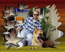 il mio amico full,,,