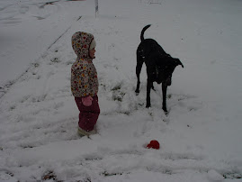 lainey and norman
