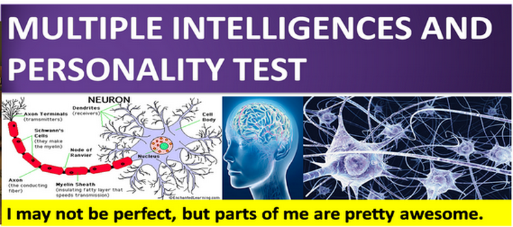 GENECODE DERMATOGLYPHICS (INTERNATIONAL) MULTIPLE INTELLIGENCES AND PERSONALITY TEST