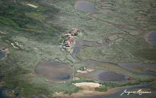 photo aérienne des cabanes sur l'ile aux oiseaux du bassin d'arcachon