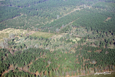 Couloir d'arbres déracinés sur Cabanac