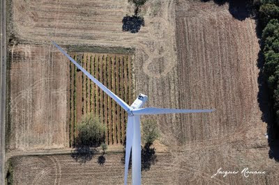 Vue aérienne d'une éolienne dans les champs de blé et rangs de vignes