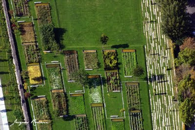 Vue aérienne du Jardin Botinique de Bordeaux