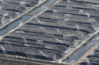 Photo aérienne d'un centre se stockage et d'arrosage de bois de pin