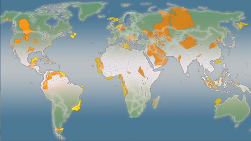Al Fin Energy: January 2011 Al Fin Energy: January 2011
