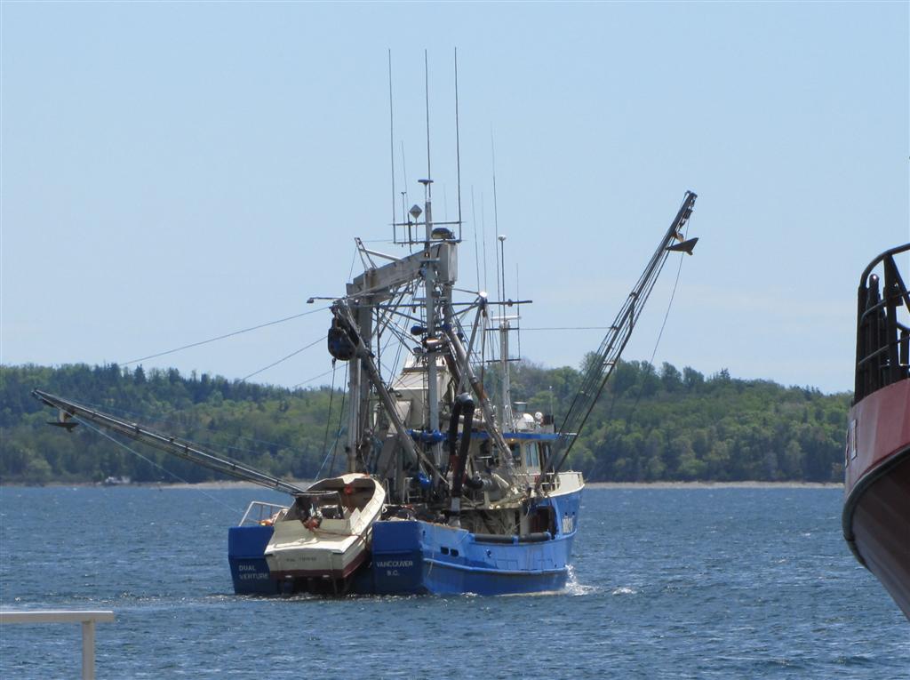 Paravane Rigs Shipfax: Setting Paravanes