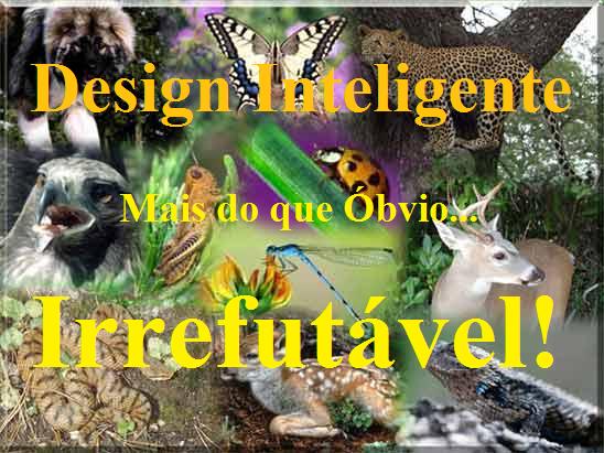 [intelligente+design+animais.jpg]