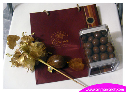 [aain_pp-cokelat01.jpg]