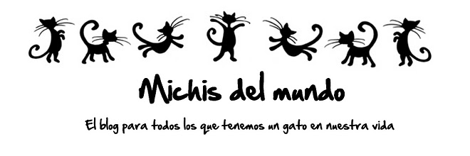 MICHIS DEL MUNDO