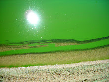 Verde flotante