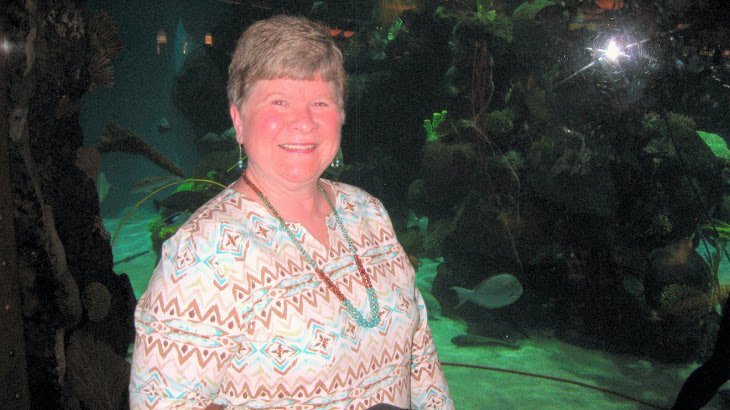 At the Aquarium in Silverton Casino