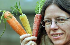 Carrot extract blocks carcinogenesis