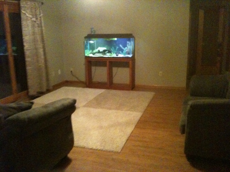 St. Elizabeth, MO Home for Sale