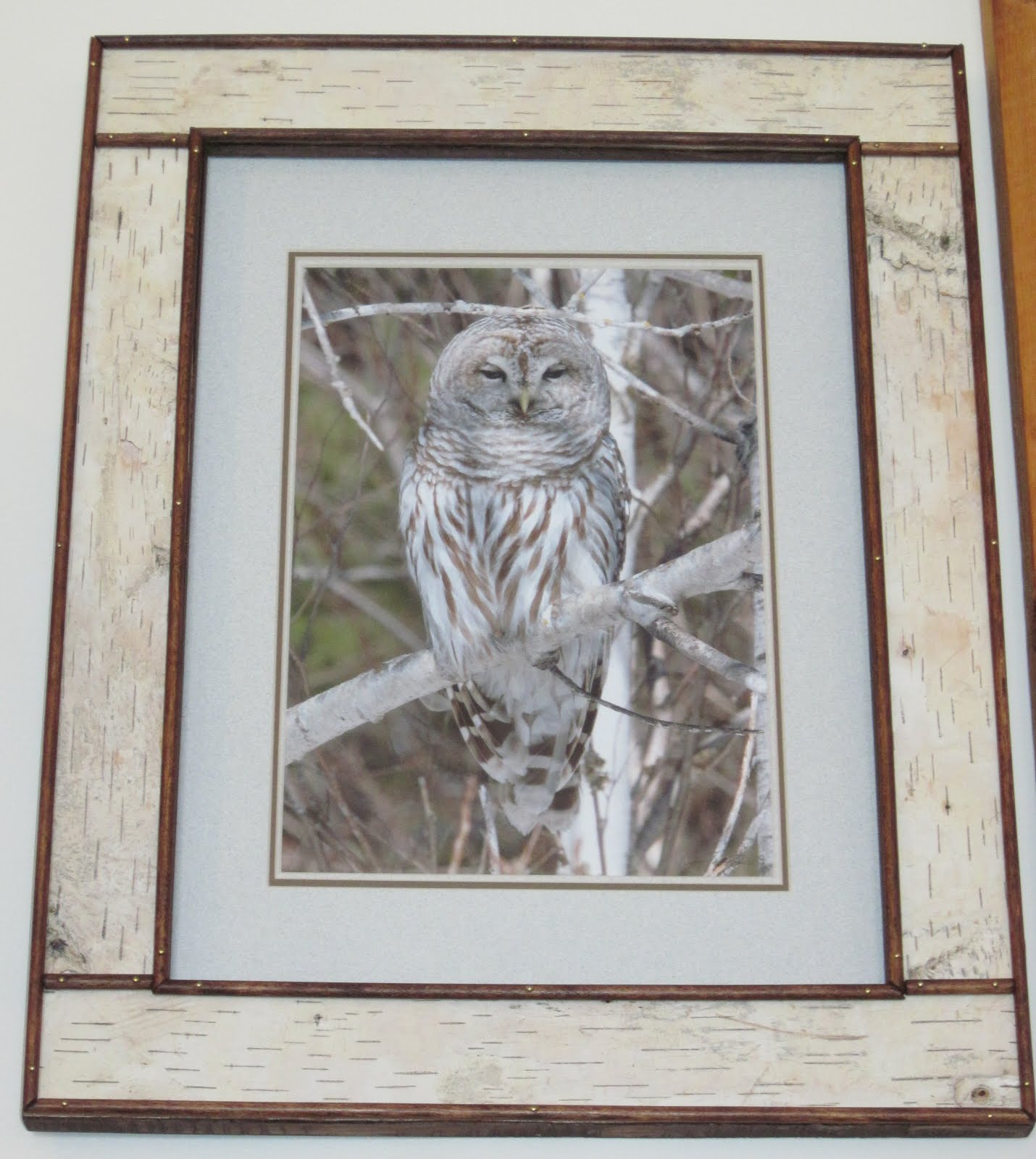 Go Rustic! Rustic Birch Bark Frame
