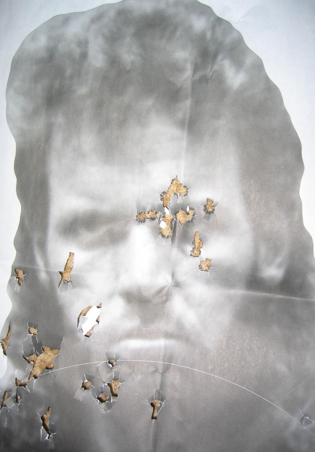 [Shooting+Target.jpg]