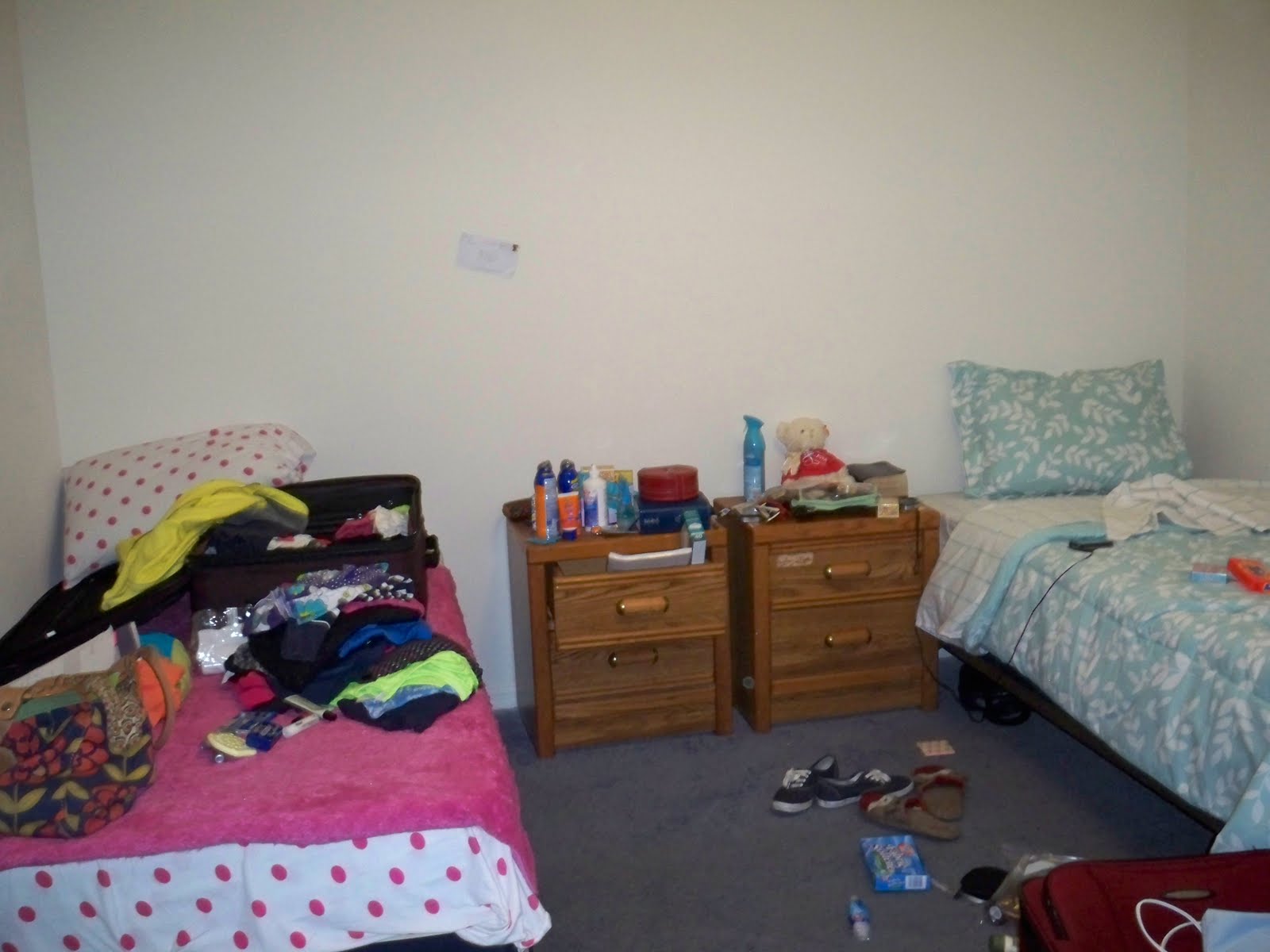 Download Disney College Program Vista Way Apartment Complex - ezyrutor