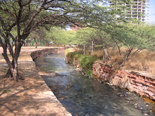 A stream running into Lake Maracaibo