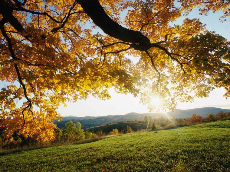HERMOSO AMANACER!!!!!