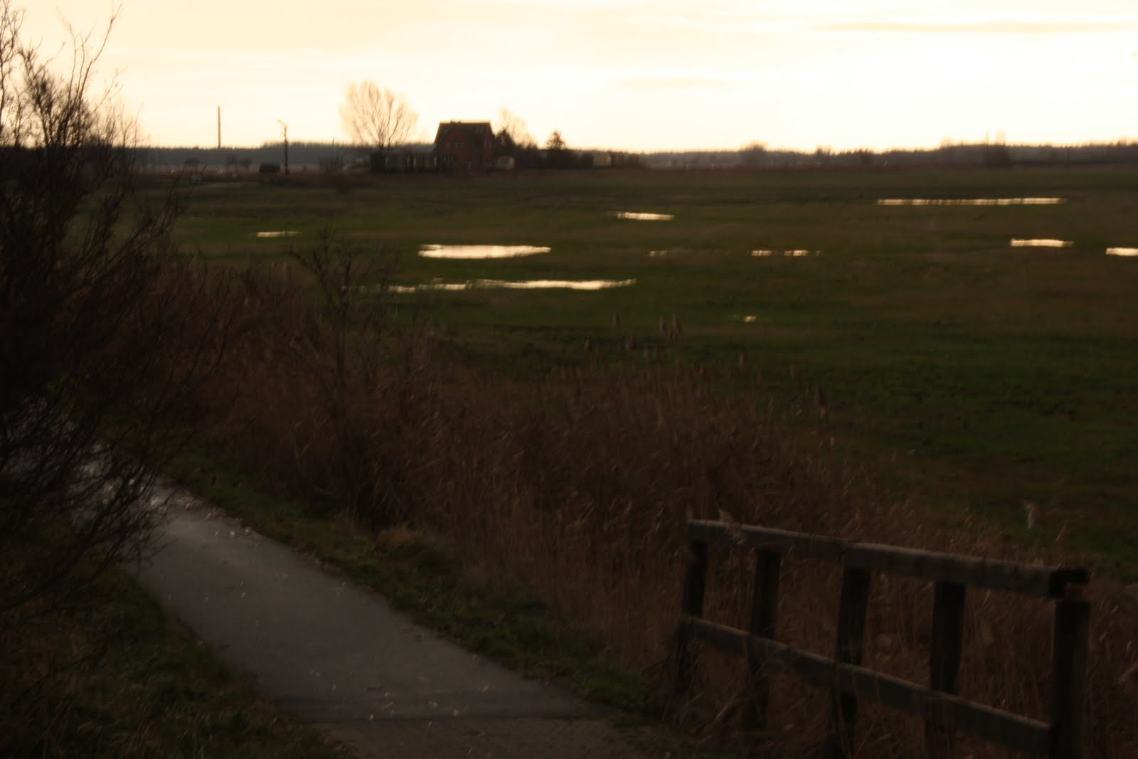 [11+und+12+++2009+338.jpg]