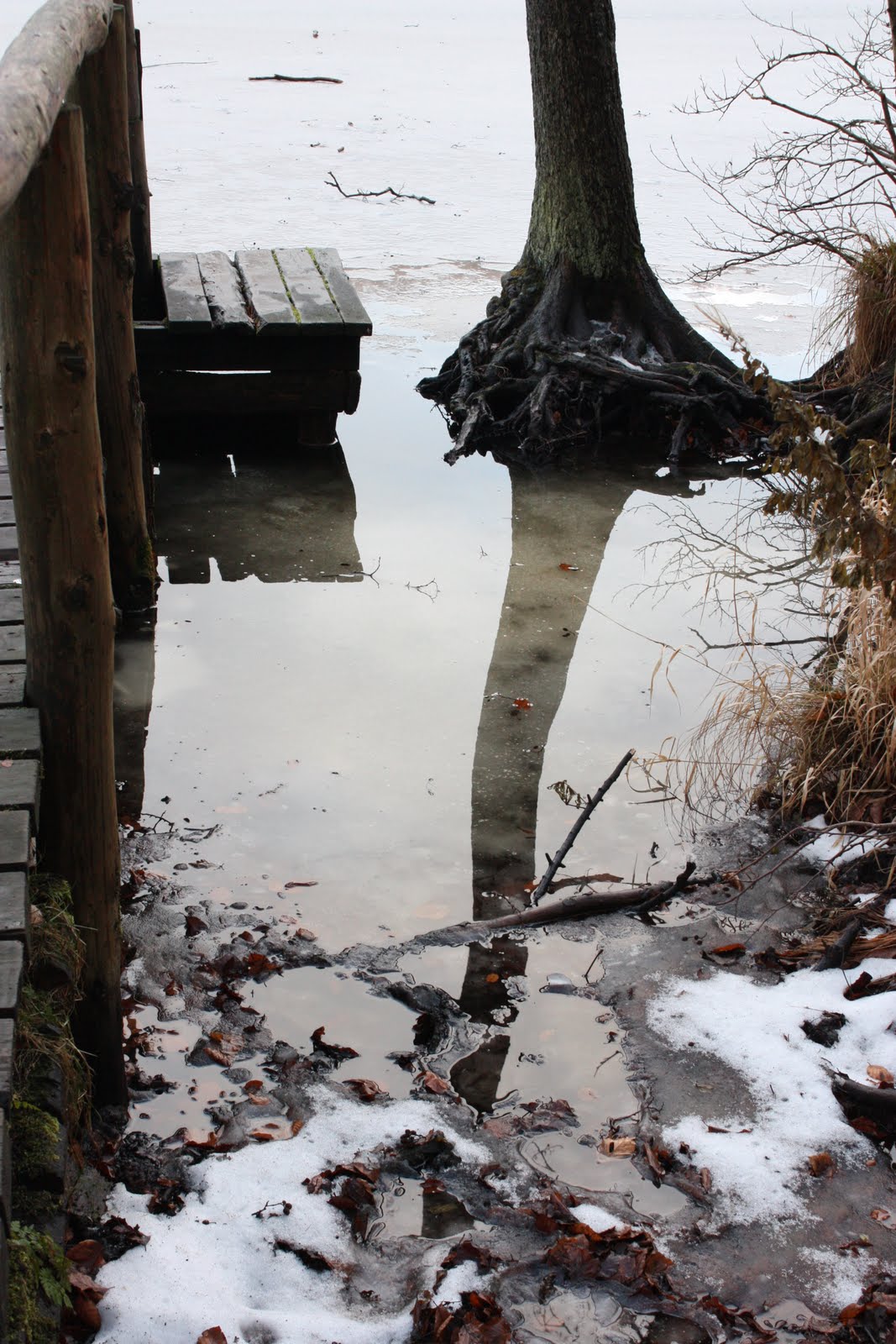 [11+und+12+++2009+352.jpg]