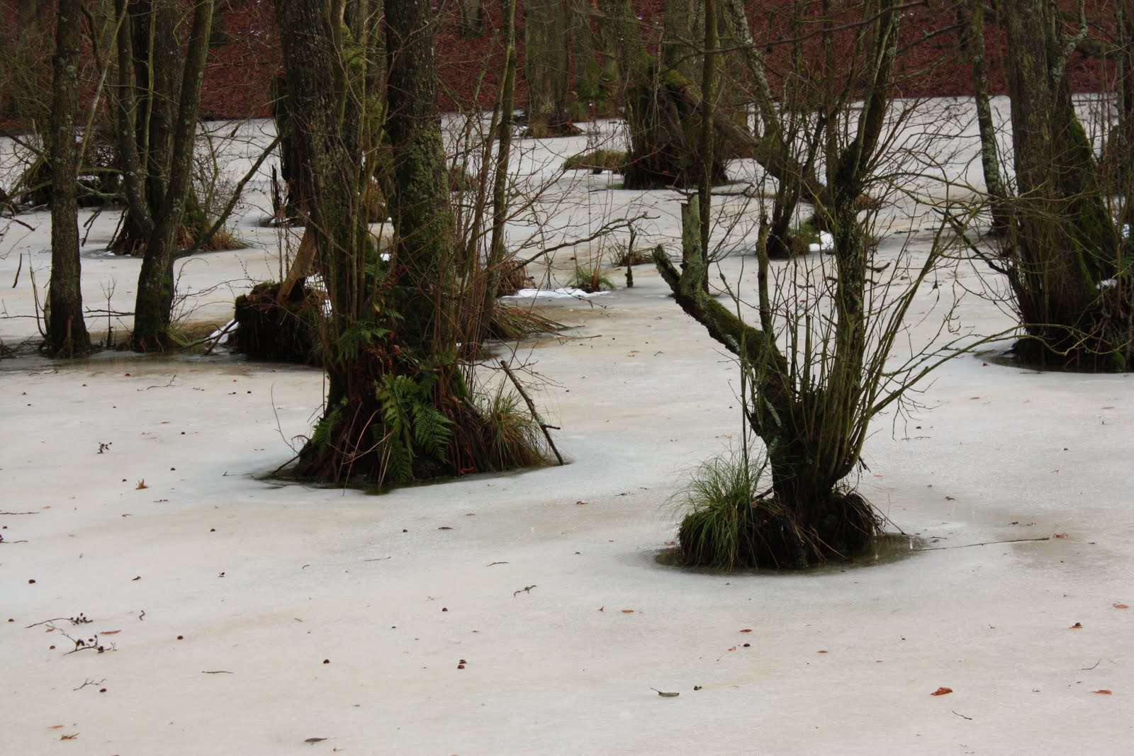 [11+und+12+++2009+369.jpg]